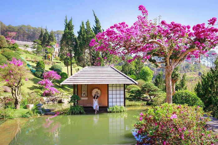 Tour Đà Lạt 3 ngày 3 đêm của Bazan Travel với chất lượng đảm bảo