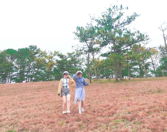 Tour FREE & Easy của Bazan Travel phù hợp cho nhóm khách thích tự do khám phá