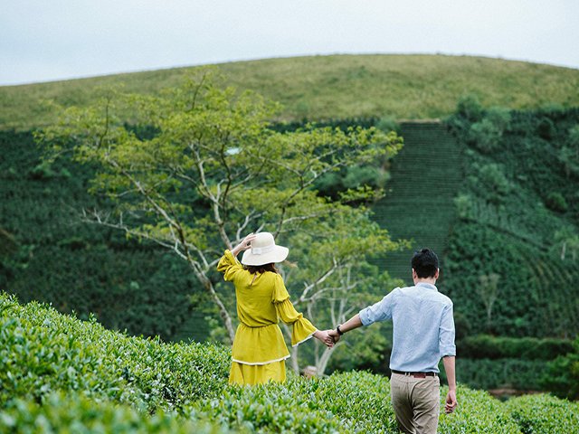 Tour Sài Gòn Đà Lạt 3 ngày của Sao Việt tham quan đồi chè Cầu Đất