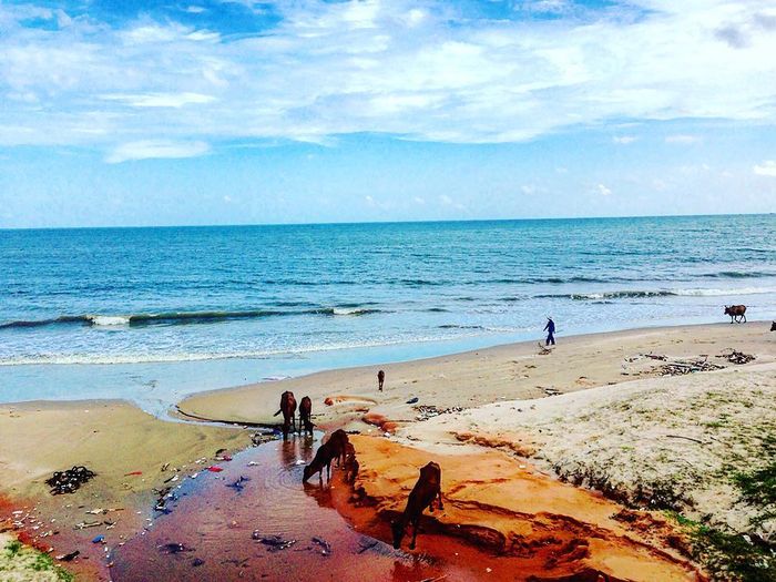 Biển hoang sơ ở Hòn Rơm