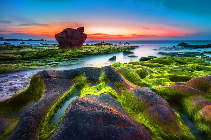 Biển Cổ Thạch mùa rêu