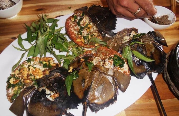 Đặc sản sam biển đảo Cát Bà