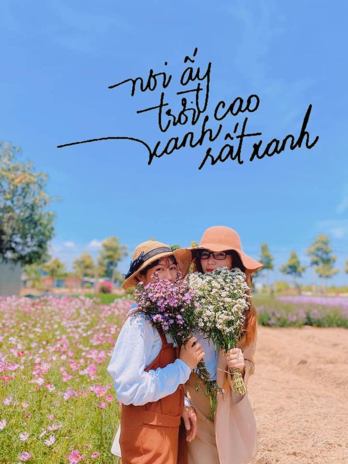 Vườn hoa Bà Rịa Vũng Tàu