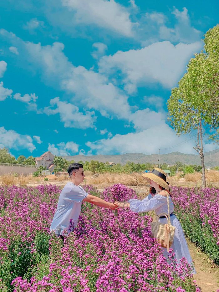 Không gian hoa tím tuyệt đẹp