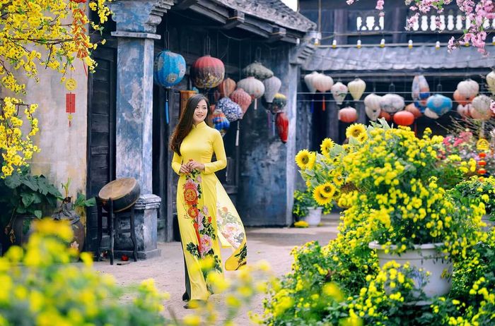 chup-anh-tet-voi-hoa-mai
