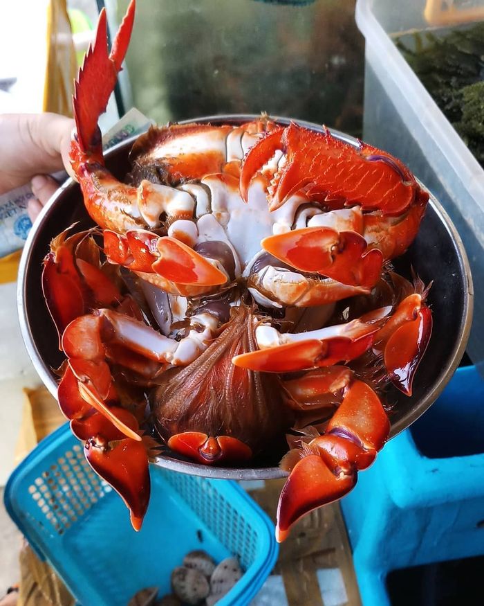 kinh-nghiem-du-lich-tu-tuc-phan-thiet27