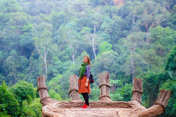 hoa-son-dien-trang-da-lat-mua-xuan