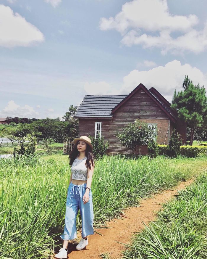 da-lat-milk-farm
