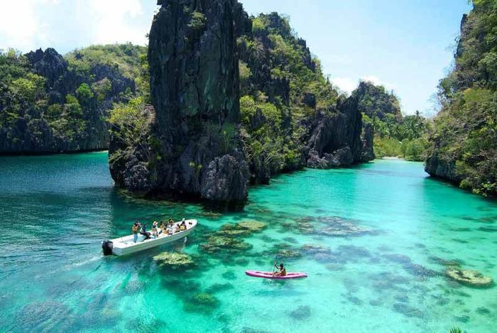 dao-palawan