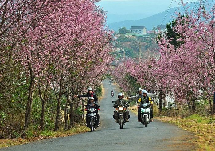 Thuê xe máy ở Đà Lạt giá khá rẻ