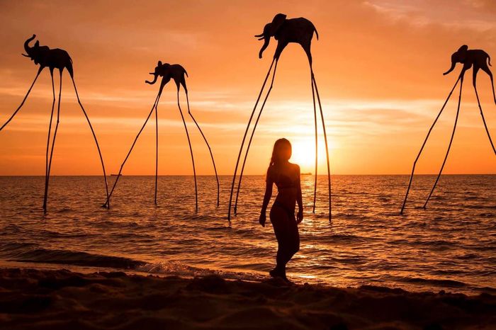 Đi Phú Quốc bằng tàu ngắm hoàng hôn ở Sun Set Sonata