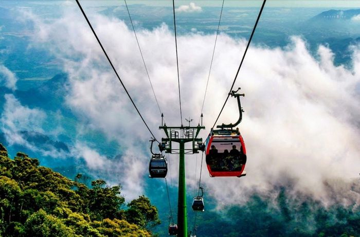 Bạn sẽ được lơ lửng giữa biển mây, dưới chân là rừng già xanh ngát