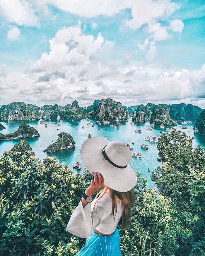 check-in-vinh-ha-long-quang-ninh