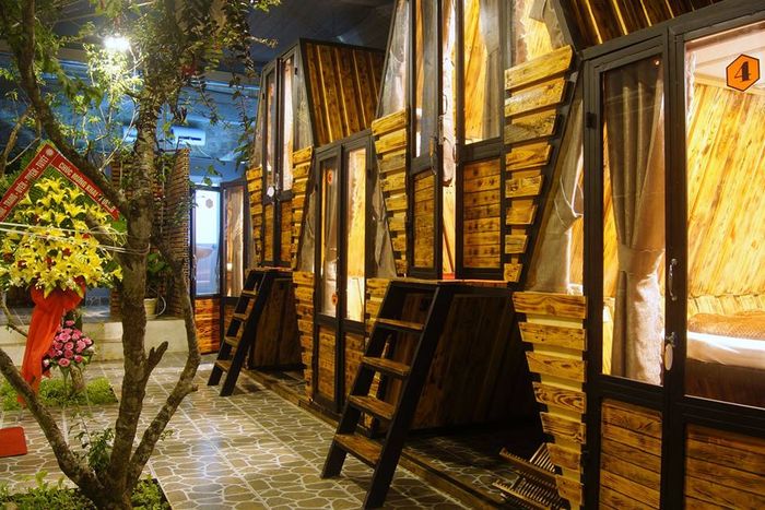 thiet-ke-bee-in-homestay
