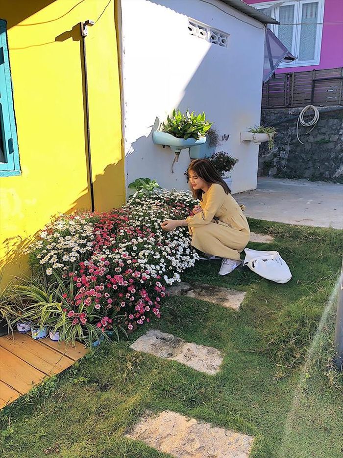 xhup-anh-thi-tran-nho-homestay-dalat