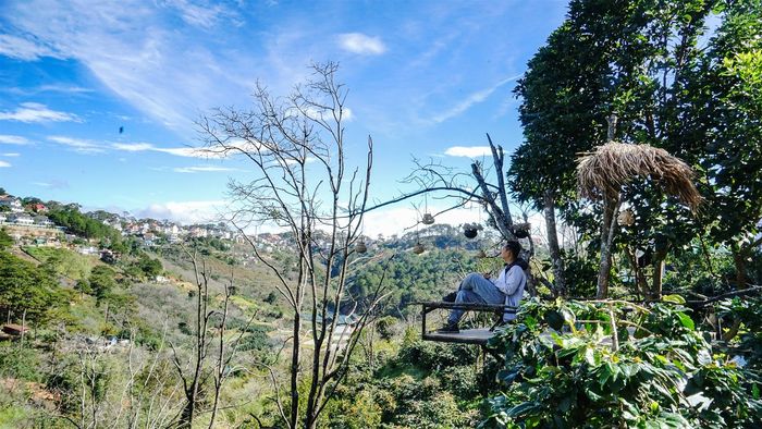 khung-canh-to-cu-tren-cay-homestay-da-lat