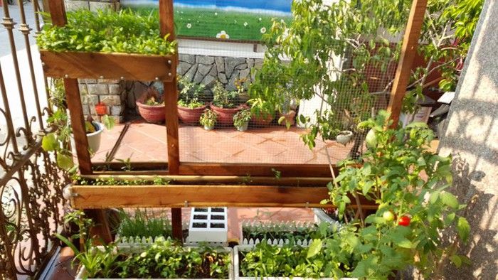 view-little-home-hostel-nha-trang