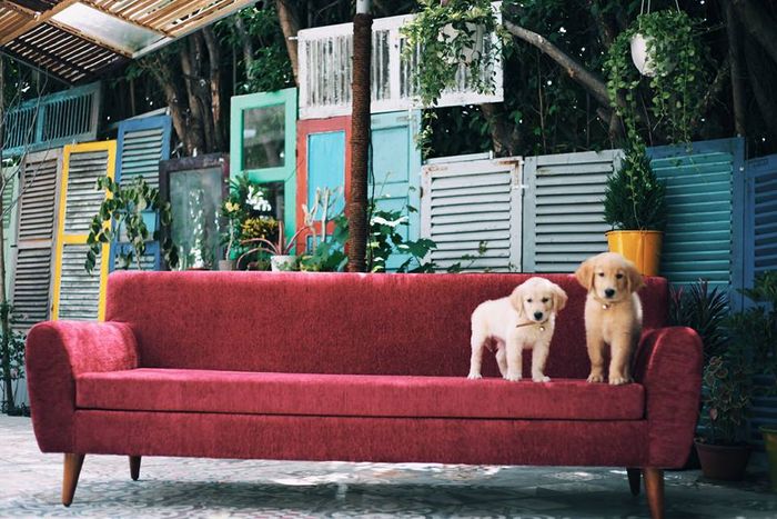 view-shouse-nha-trang