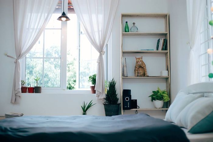 phong-nghi-shouse-nha-trang