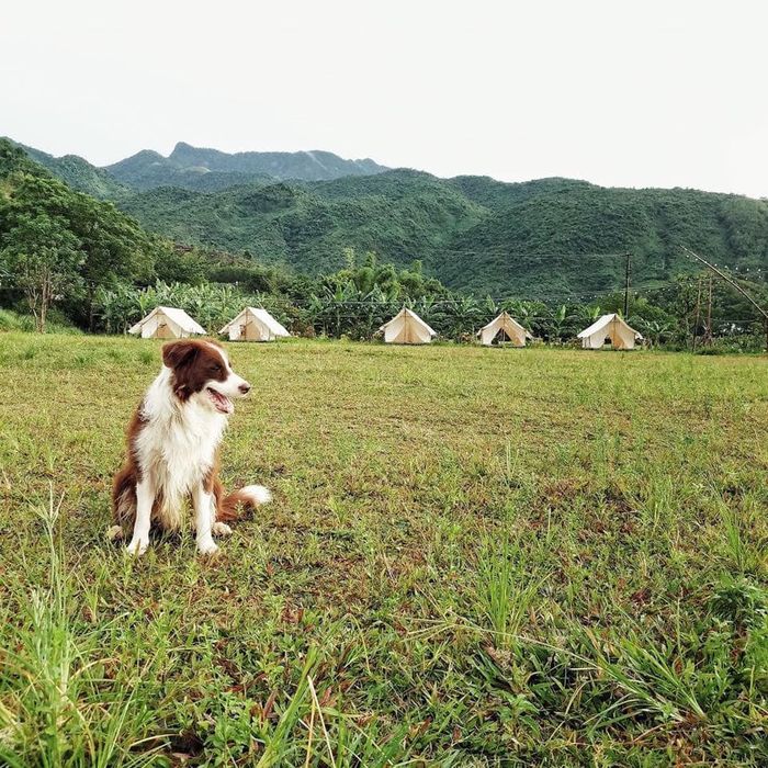 khu-du-lich-sinh-thai-yen-retreat