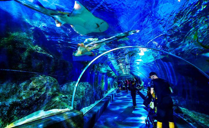 sea-life-bangkok
