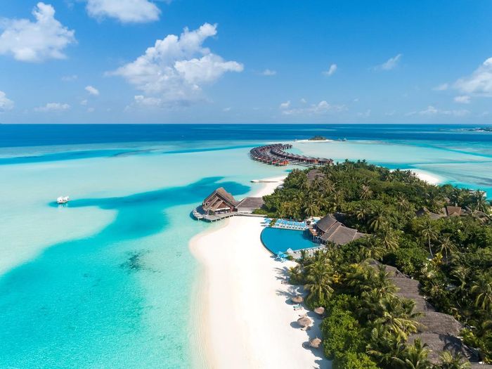 Hình nền : 3360x2100 px, bờ biển, Đảo, phong cảnh, Maldives, thiên nhiên,  cây cọ, phương sách, cát, mùa hè, nhiệt đới, trắng 3360x2100 - wallup -  689738 - Hình nền đẹp hd - WallHere