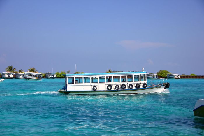 pha-cong-cong-o-maldives