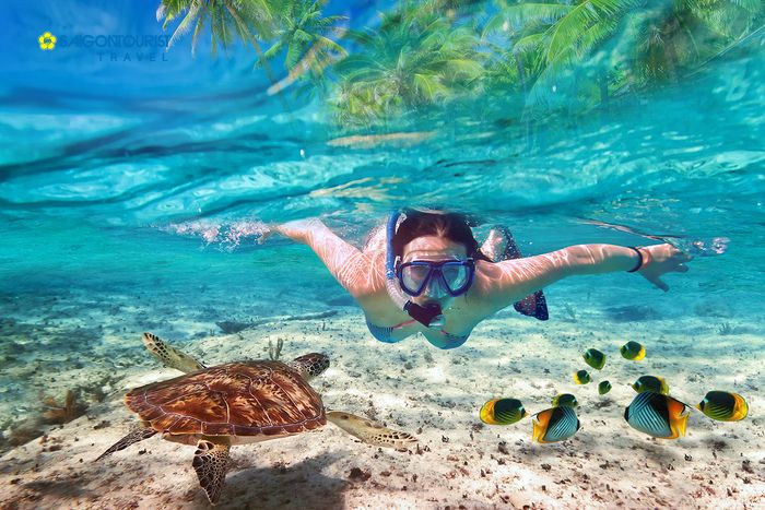 hoat-dong-lan-bien-o-maldives