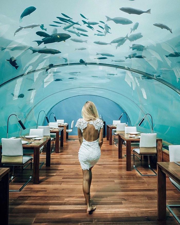 nha-hang-duoi-bien-maldives