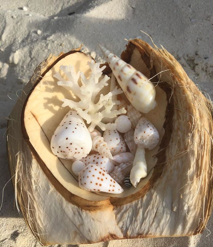 mua-gi-lam-qua-khi-du-lich-maldives