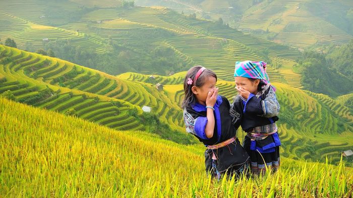 Tận hưởng mùi hương của lúa mới