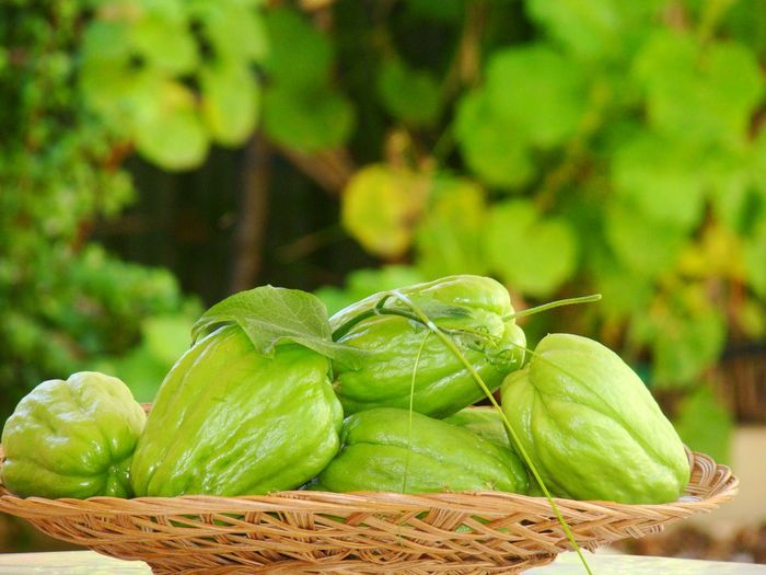 Su su luộc chấm chẩm chéo ngọt thanh mát