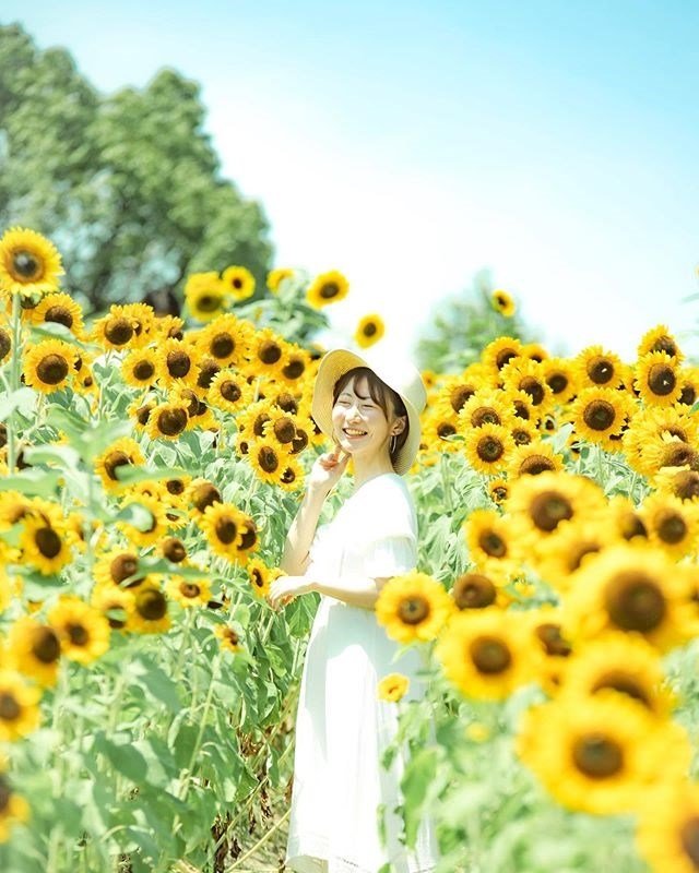 hoa-dong-garden17