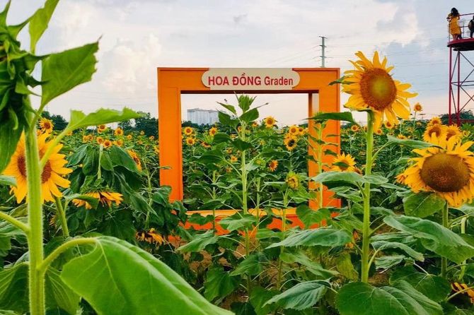 hoa-dong-garden9