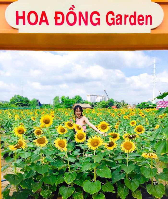 hoa-dong-garden
