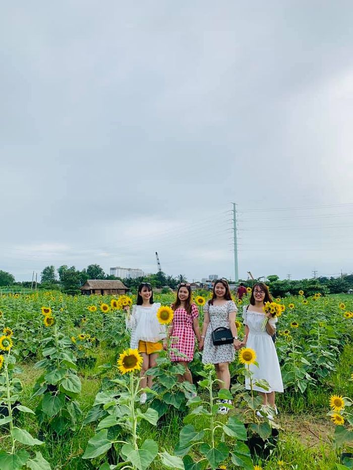 hoa-dong-garden-binh-chanh
