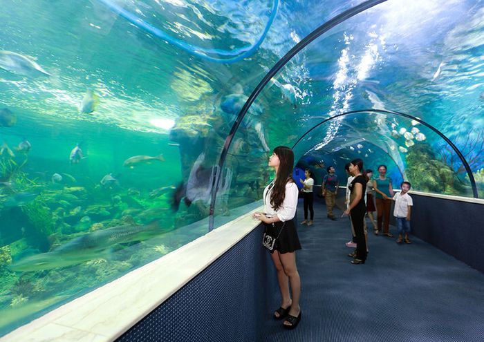 thuy-cung-vinpearl-aquarium