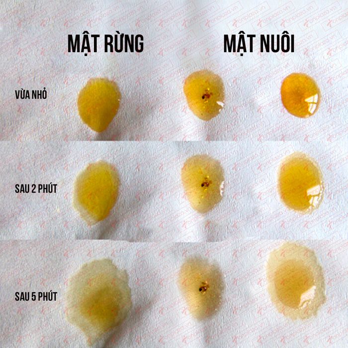 cach-phan-biet-mat-ong