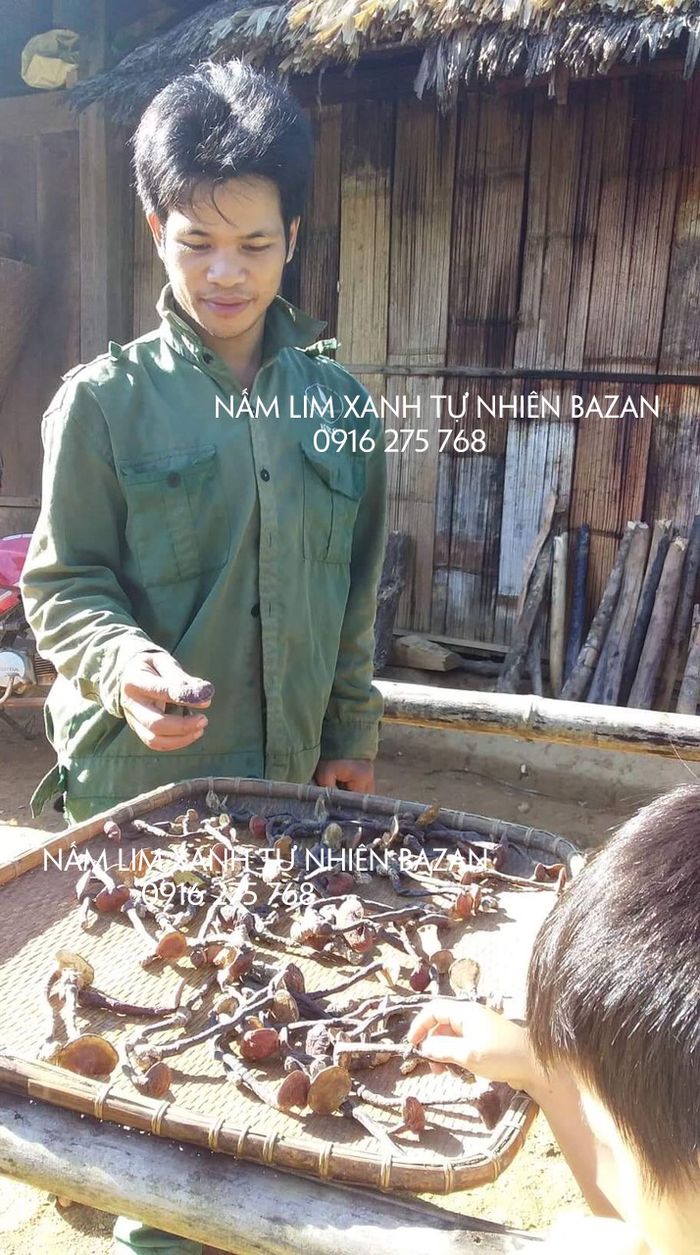 nam-lim-xanh-hoan-toan-tu-nhien