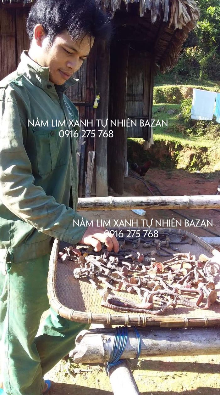 nam-lim-xanh