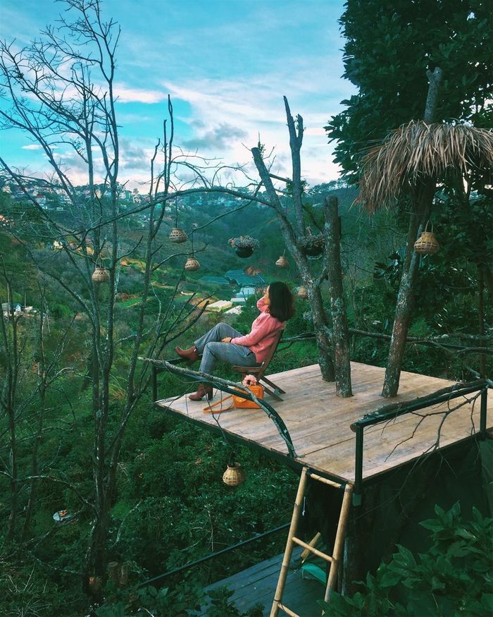 cu-tren-cay-homestay-da-lat