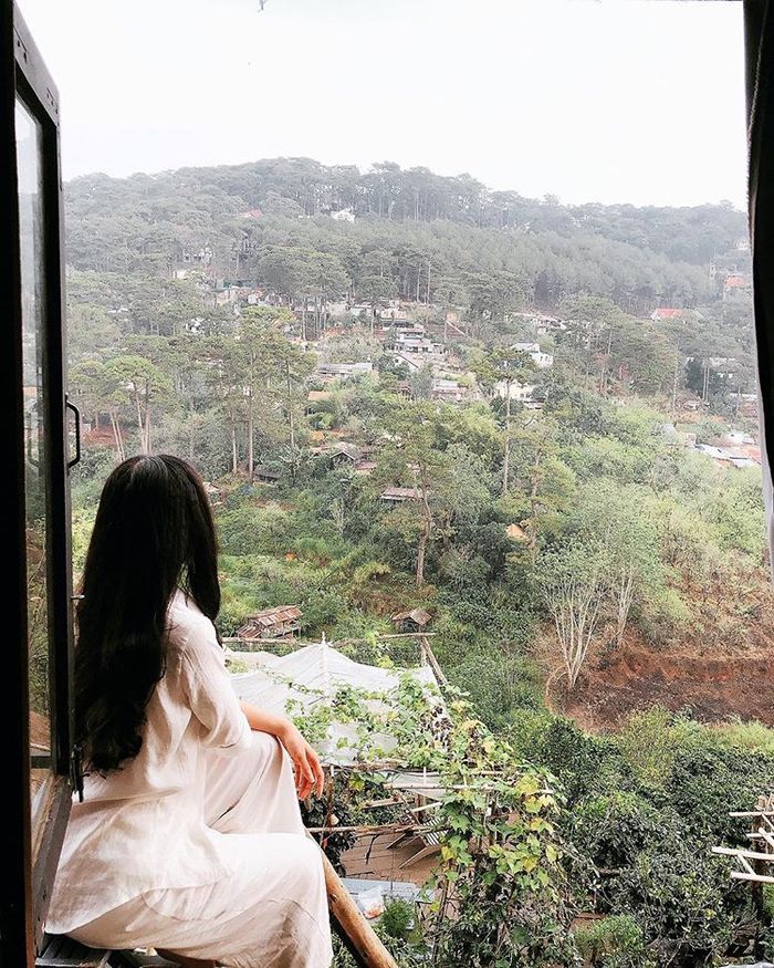 view-cu-tren-cay-homestay-da-lat