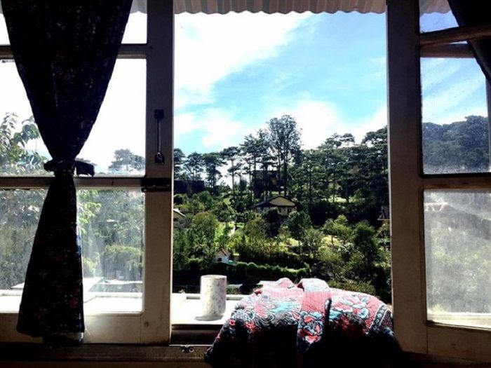 view-vuon-ngo-dau-homestay-da-lat