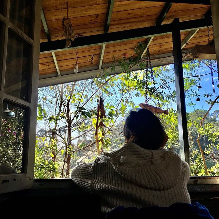ngo-dau-homestay-da-lat