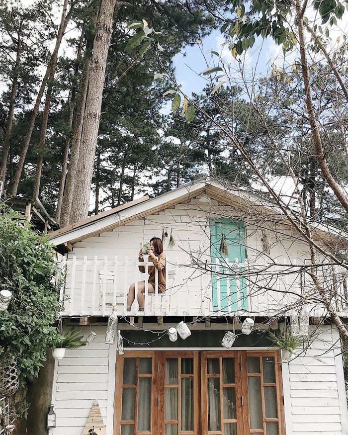 check-in-the-reply-1994-homestay-da-lat