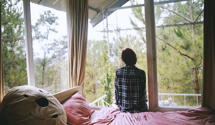 khung-canh-pine-hill-homestay-da-lat