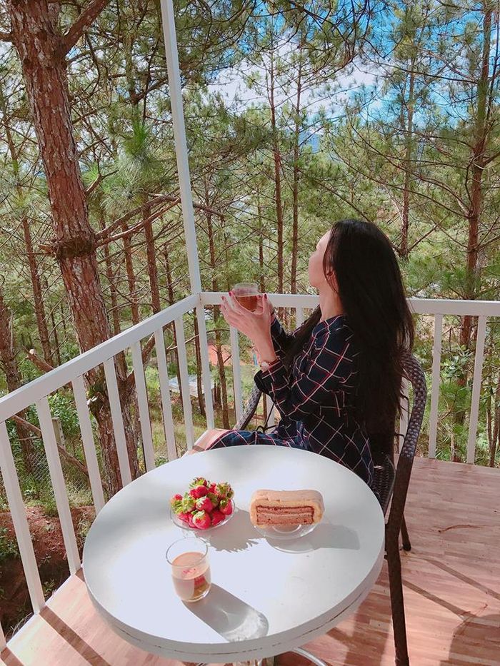 pine-hill-homestay-da-lat