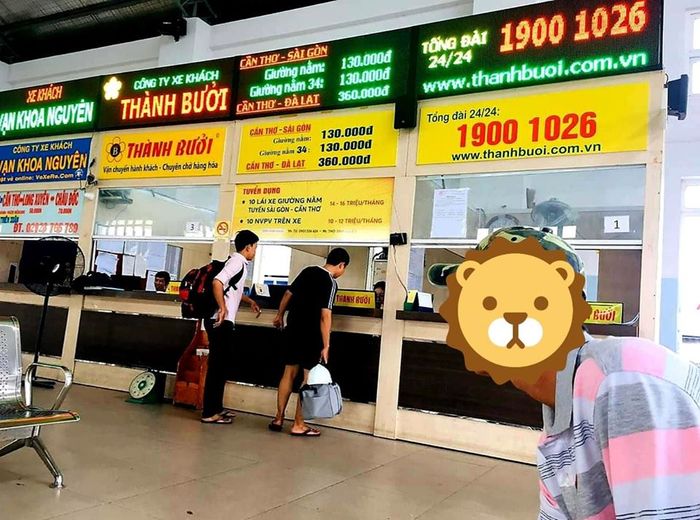 gia-ve-nha-xe-thanh-buoi-tour-da-lat-tet