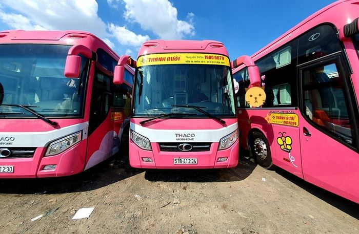 thanh-buoi-thanh-pho-ho-chi-minh-tour-da-lat-3-ngay-3-dem