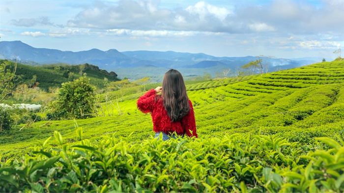 thoi-tiet-da-lat-thang-1-doi-che-cau-dat-tuoi-tan-trong-nang